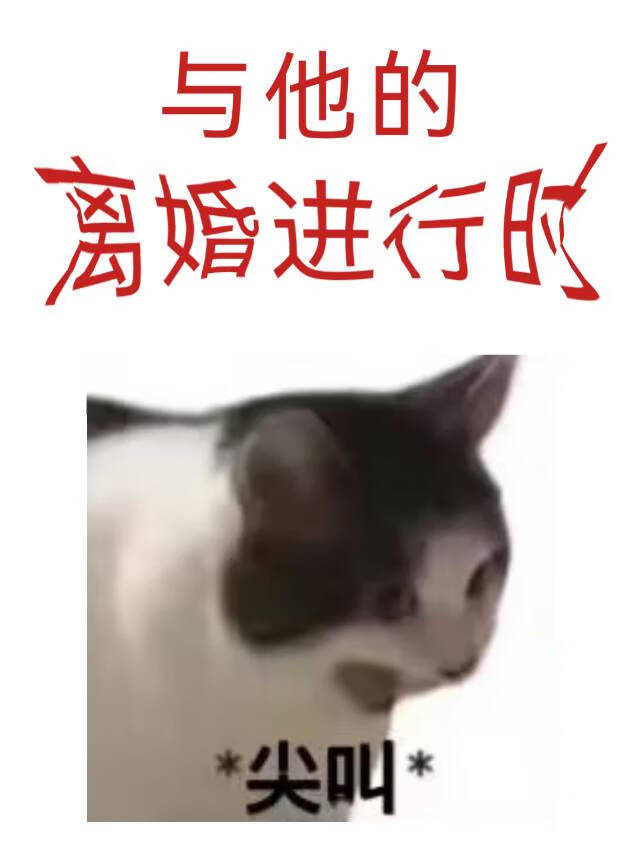 与他的她