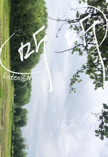 听听那冷雨原文