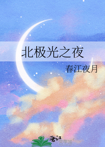 北极光之夜