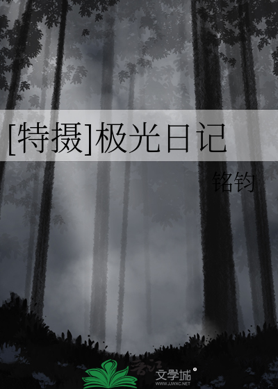 [特摄]极光日记