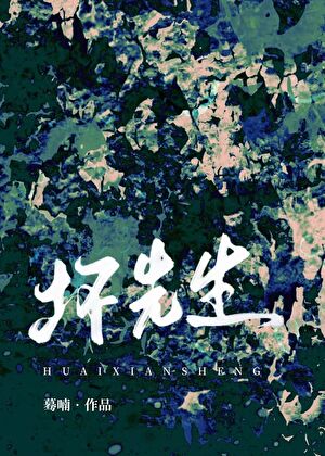 坏先生