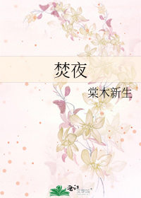 焚夜